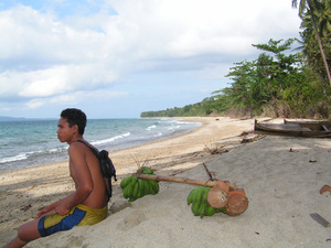 <strong>Lire la suite</strong><br>Les Moluques Les Moluques